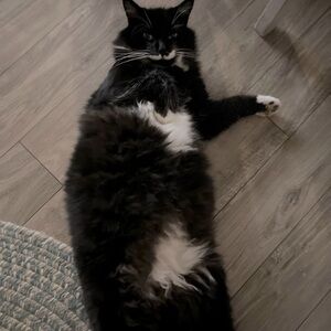 Meet your Posher, Kenzie